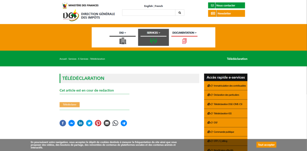 Site institutionnel cameroun